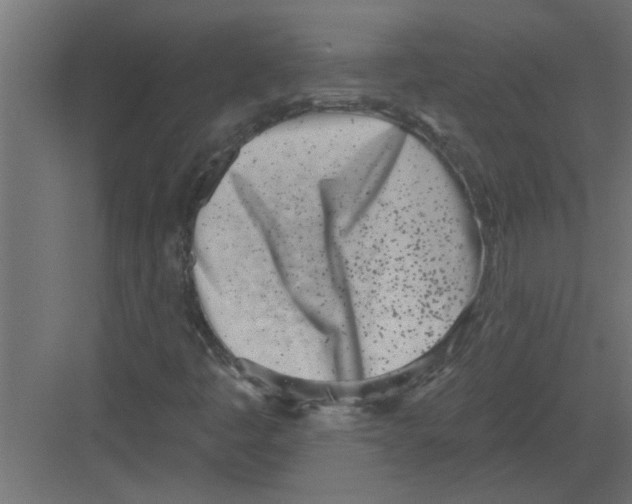 X0000082161445200702092205