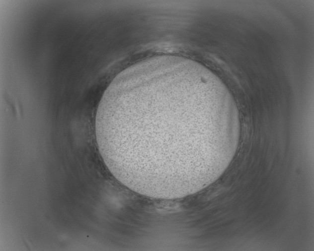 X0000082161446200702092205