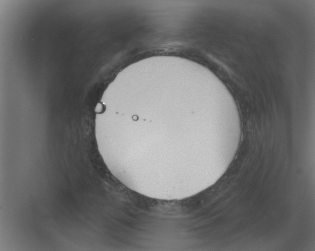 X0000082161447200702092205