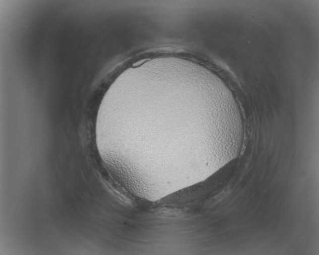 X0000082161448200702092205