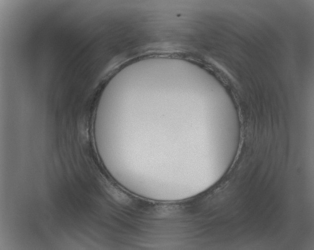 X0000082161451200702092205