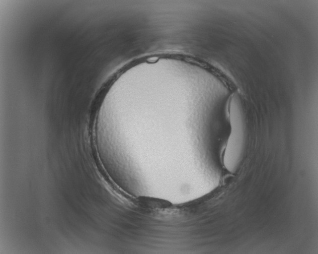 X0000082161452200702092205