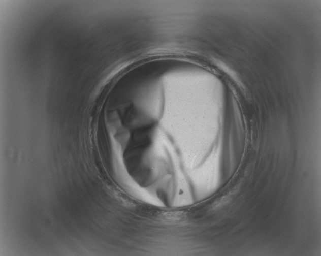 X0000082161453200702092205