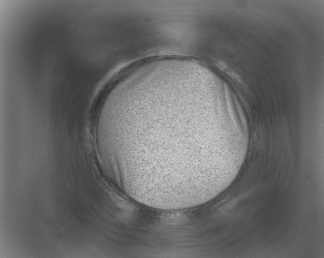 X0000082161454200702092205