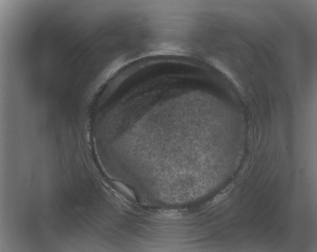 X0000082161455200702092205