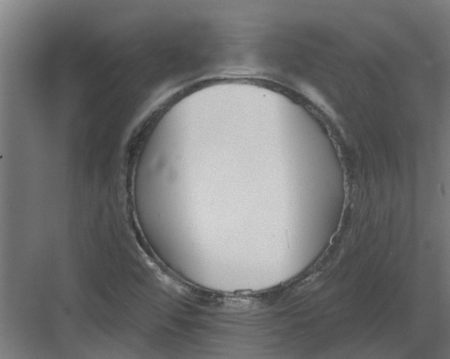 X0000082161456200702092205