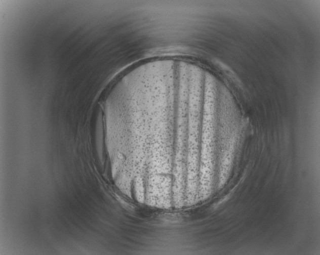 X0000082161457200702092205