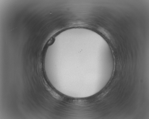 X0000082161458200702092205