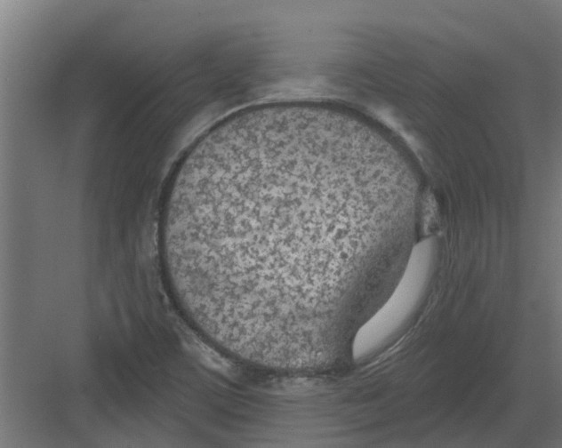 X0000082161459200702092205