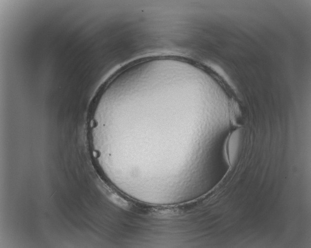 X0000082161460200702092205