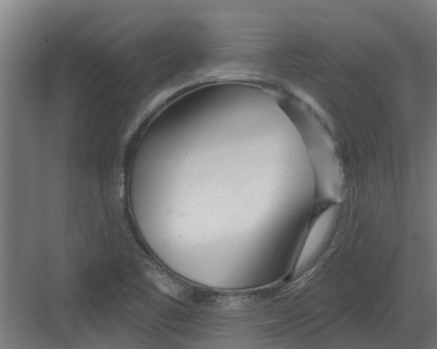 X0000082161461200702092205