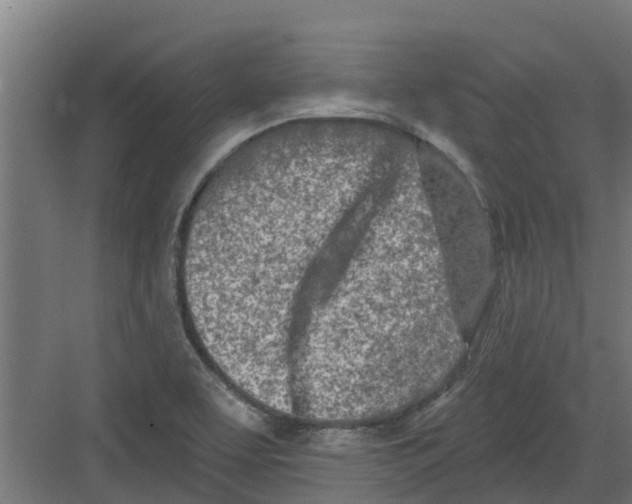 X0000082161463200702092205