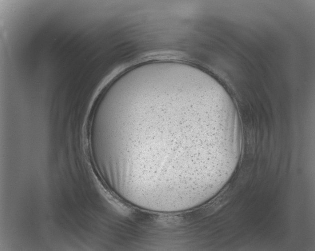 X0000082161466200702092205