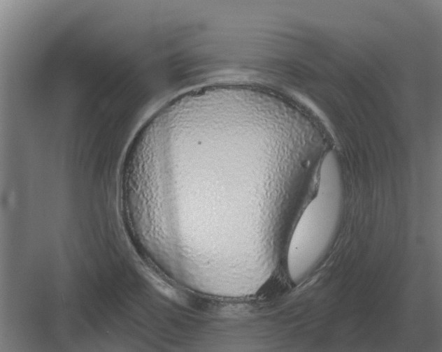 X0000082161467200702092205