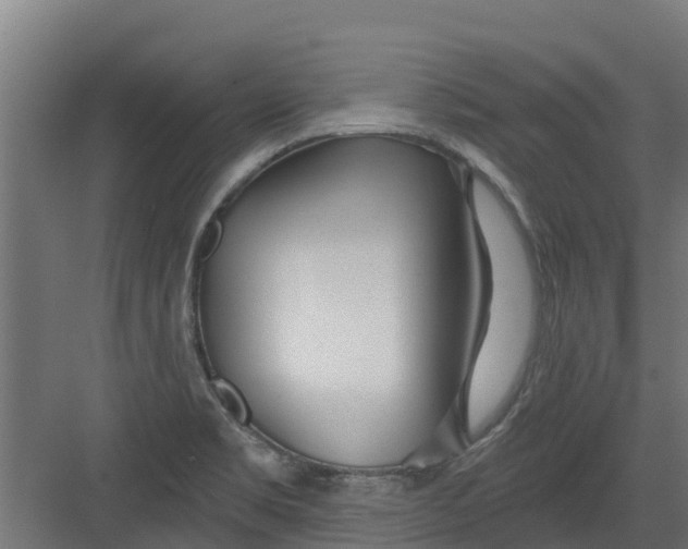 X0000082161469200702092205