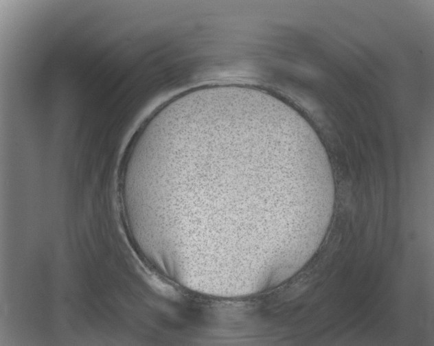 X0000082161470200702092205