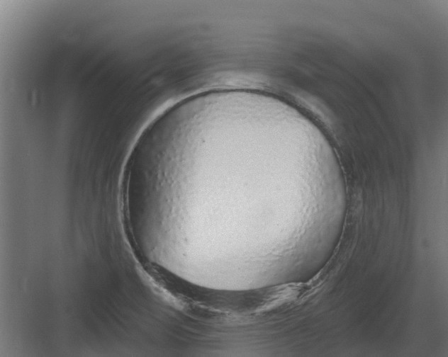 X0000082161471200702092205