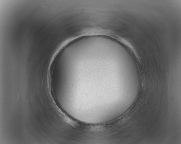 X0000082161472200702092205