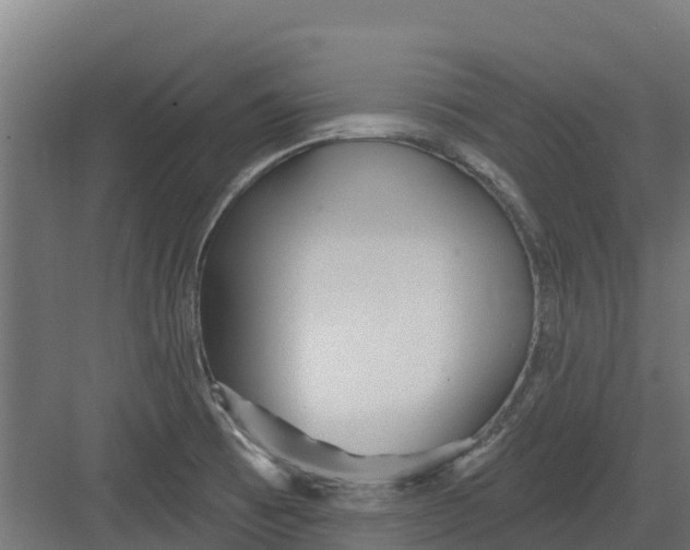 X0000082161473200702092205