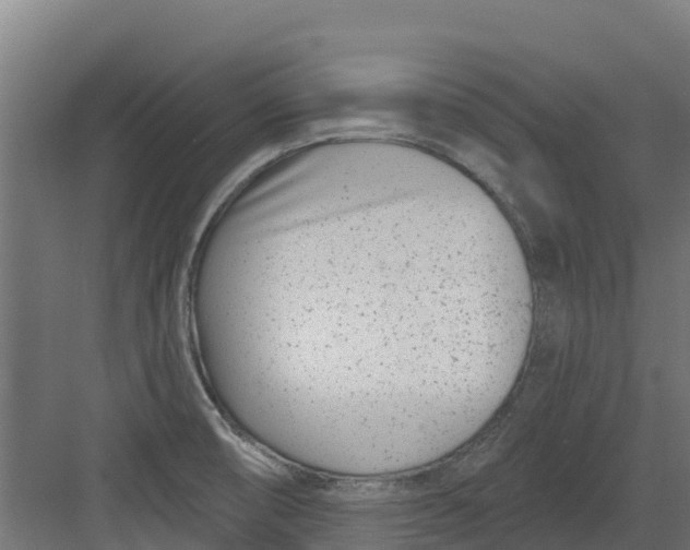 X0000082161474200702092205