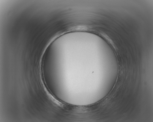 X0000082161475200702092205