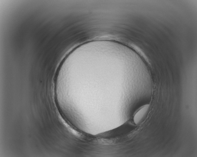 X0000082161476200702092205