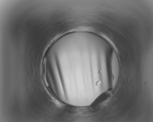 X0000082161477200702092205