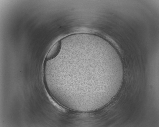 X0000082161479200702092205