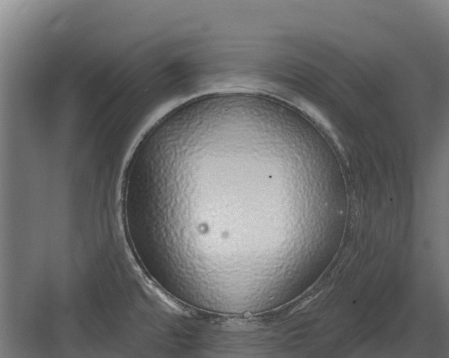 X0000082161480200702092205