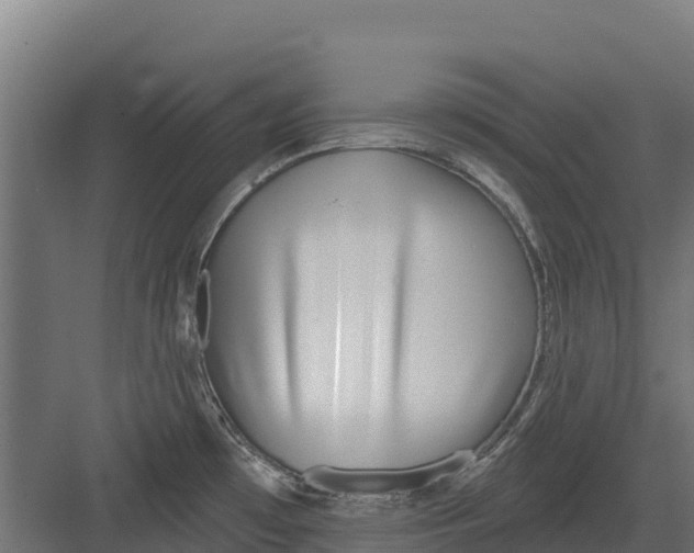 X0000082161481200702092205