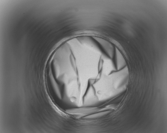 X0000082161482200702092205