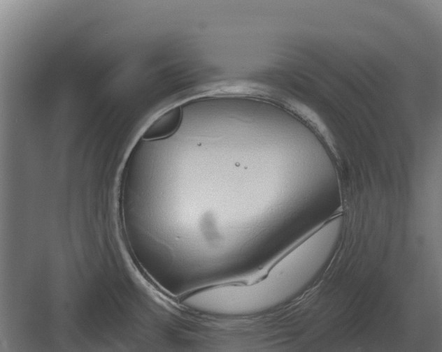 X0000082161483200702092205