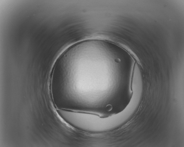 X0000082161484200702092205