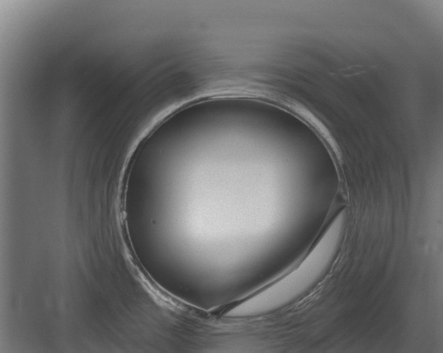 X0000082161485200702092205