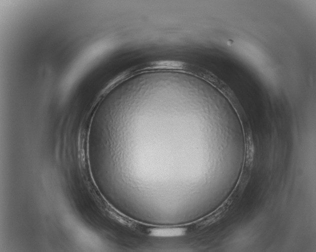 X0000082161487200702092205