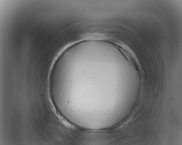 X0000082161488200702092205