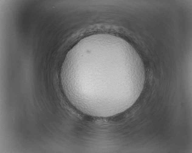 X0000082161489200702092204