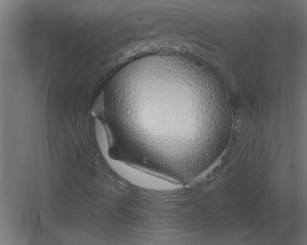 X0000082161490200702092204