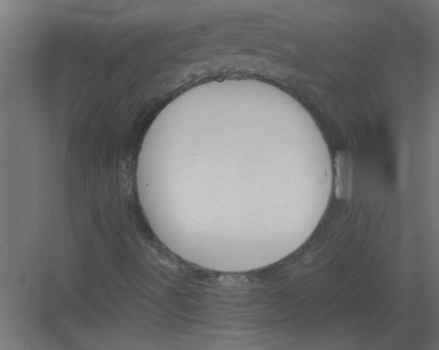 X0000082161491200702092204