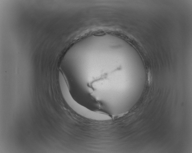 X0000082161492200702092204