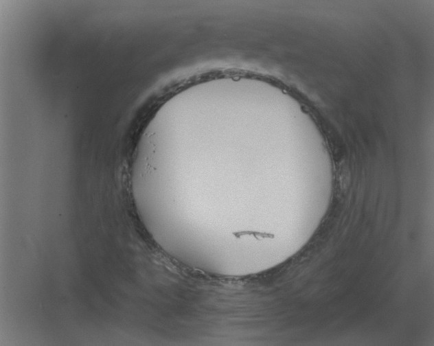 X0000082161495200702092204