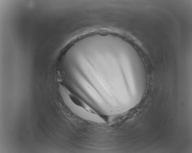 X0000082161496200702092204