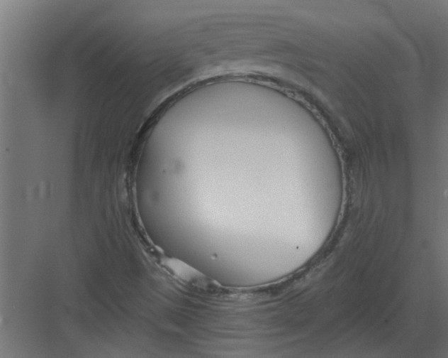 X0000082161497200702092204