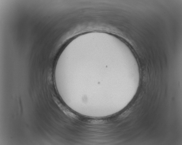 X0000082161499200702092204