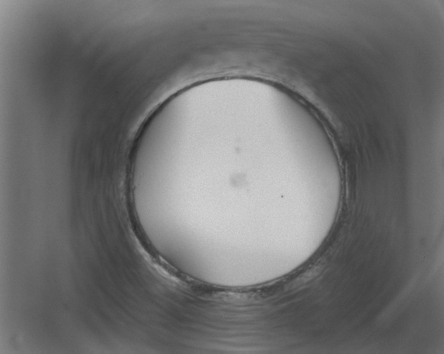 X0000082161500200702092204