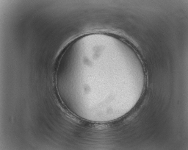 X0000082161501200702092204