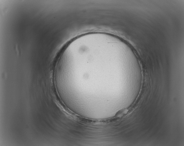 X0000082161503200702092204