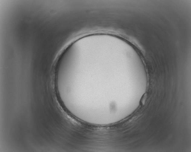 X0000082161504200702092204