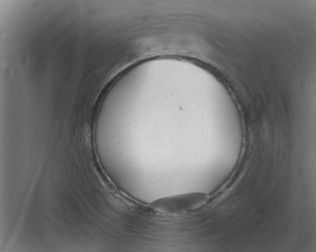 X0000082161505200702092204