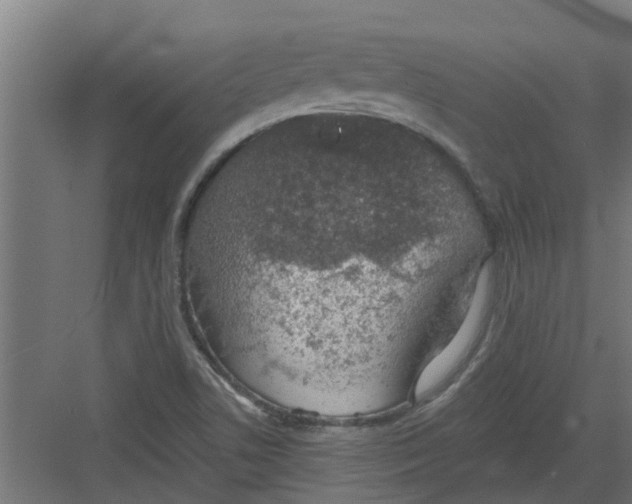 X0000082161506200702092204